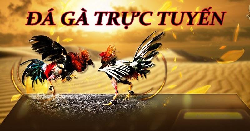 Tìm hiểu về nhà cái số 1 và những ưu điểm vượt trội